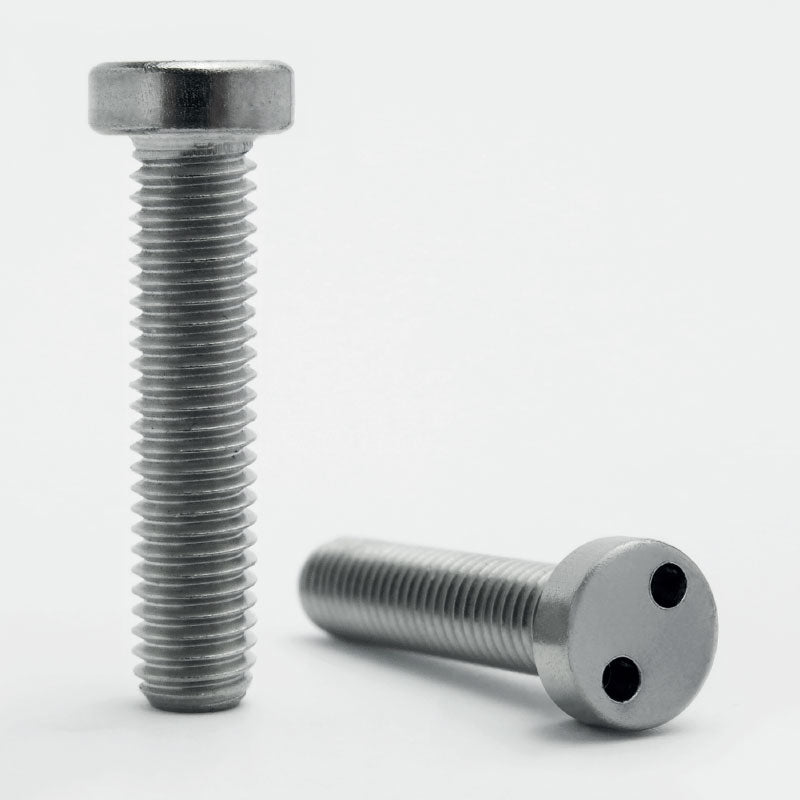 2 Hole Pan Security Screw - Stainless Steel