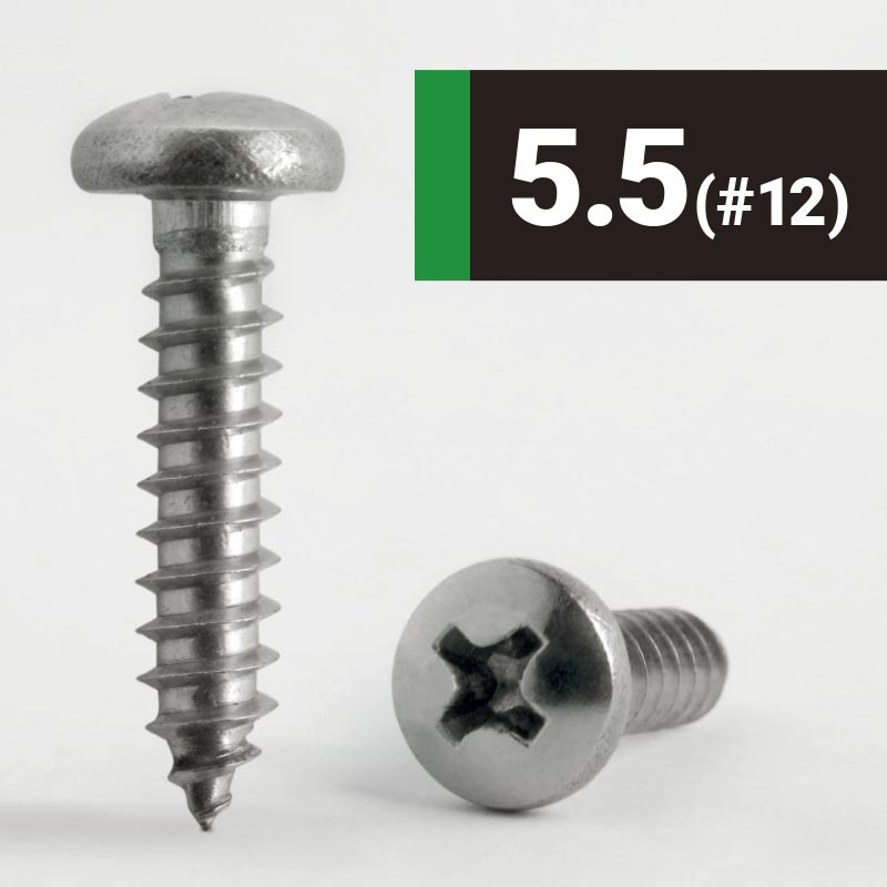 5.5 #12 Phillips Pan AB Self Tapping Screw A2 Stainless Steel DIN 7981CH