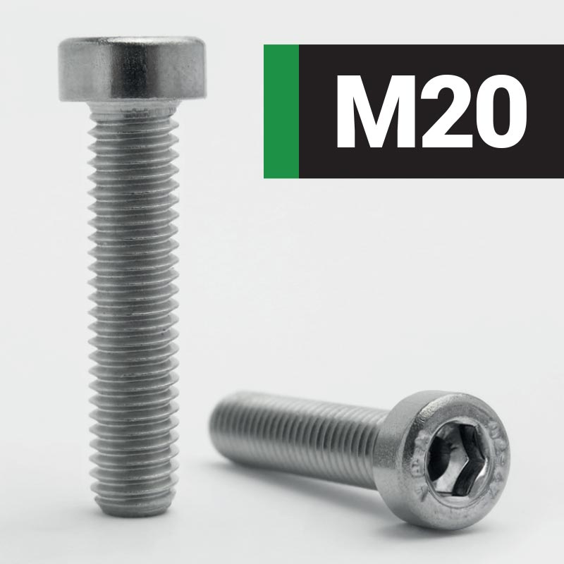 M20-Low-Head-Pilot-Recess-Socket-Cap-Stainless-Steel-DIN-6912
